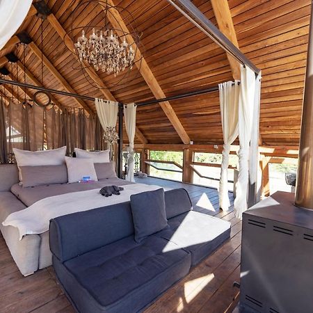Inspiring Farm Sanctuary And Famous Painting Pig Hotel Franschhoek Buitenkant foto