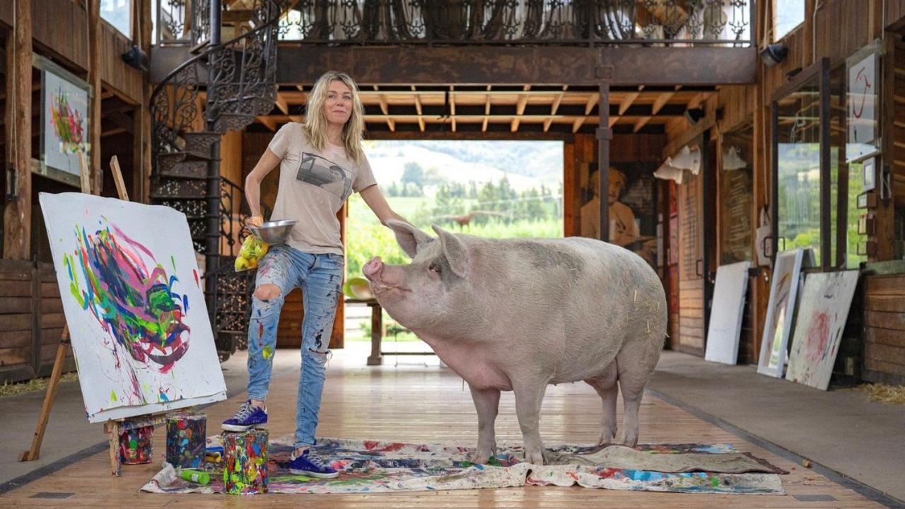 Inspiring Farm Sanctuary And Famous Painting Pig Hotel Franschhoek Buitenkant foto
