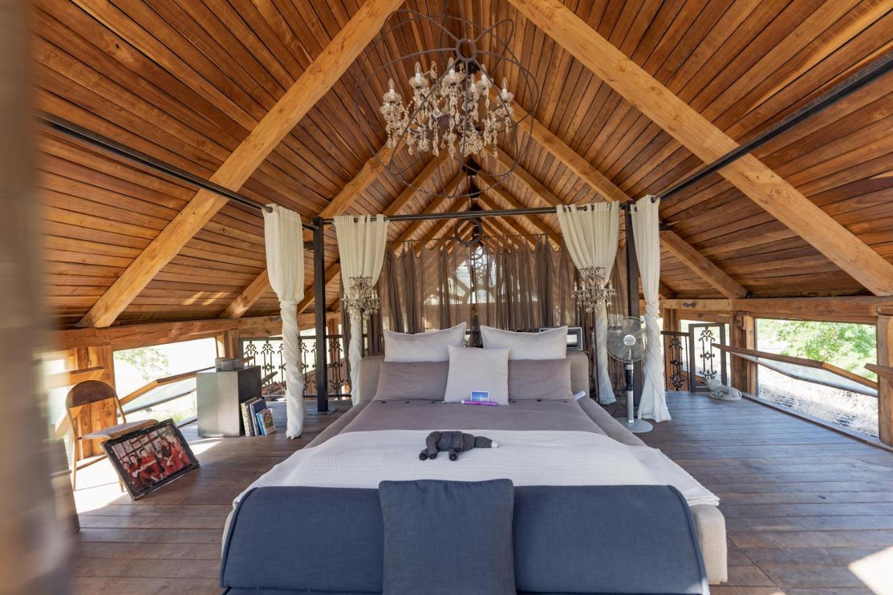 Inspiring Farm Sanctuary And Famous Painting Pig Hotel Franschhoek Buitenkant foto
