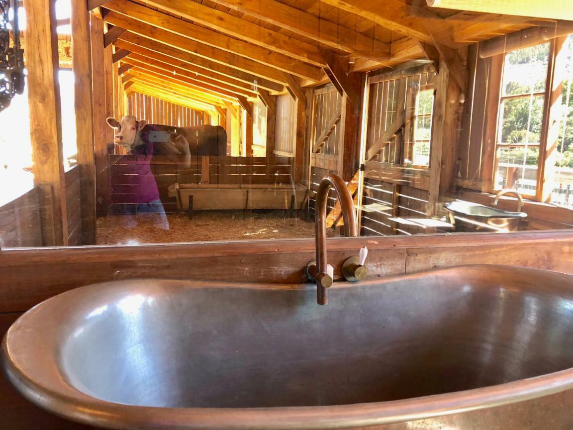 Inspiring Farm Sanctuary And Famous Painting Pig Hotel Franschhoek Buitenkant foto