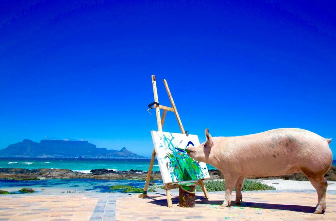 Inspiring Farm Sanctuary And Famous Painting Pig Hotel Franschhoek Buitenkant foto